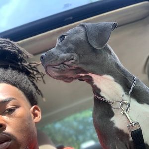 Meet your Posher, Todd